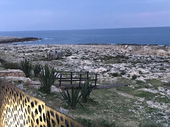 Abbiamo scelto il menù❤️ - 2