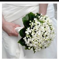 il mio bouquet