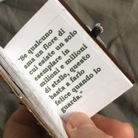 Tema piccolo principe: tutto prende forma! - 3