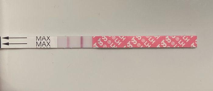 Chi non le aspetta per Febbraio 2022 🤩🤞🍀❤️ - 1