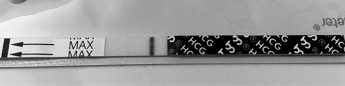 Chi non le aspetta per Febbraio 2022 🤩🤞🍀❤️ - 1