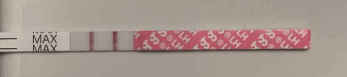 Chi non le aspetta per Febbraio 2022 🤩🤞🍀❤️ - 1