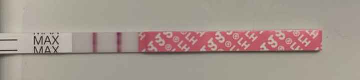 Chi non le aspetta per Febbraio 2022 🤩🤞🍀❤️ - 1