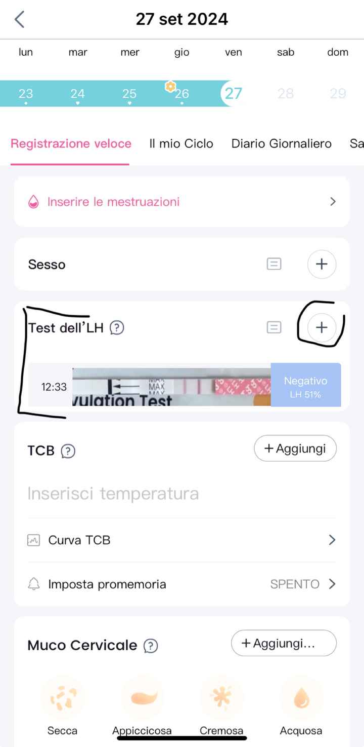 Per chi non le aspetta Luglio, Agosto Settembre e Ottobre 2024🍀🐞 - 1