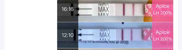 Per chi non le aspetta ottobre, novembre e dicembre 2024🍀🐞 - 2