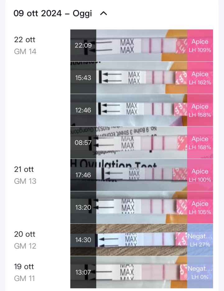 Per chi non le aspetta ottobre, novembre e dicembre 2024🍀🐞 - 1