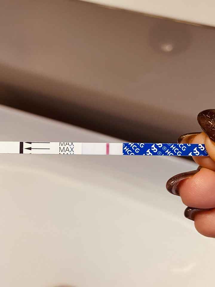 Per chi non le aspetta ottobre, novembre e dicembre 2024🍀🐞 - 1