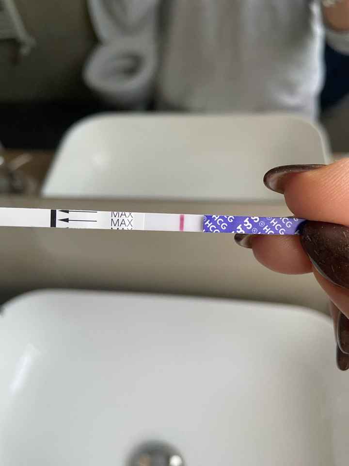 Per chi non le aspetta ottobre, novembre e dicembre 2024🍀🐞 - 2