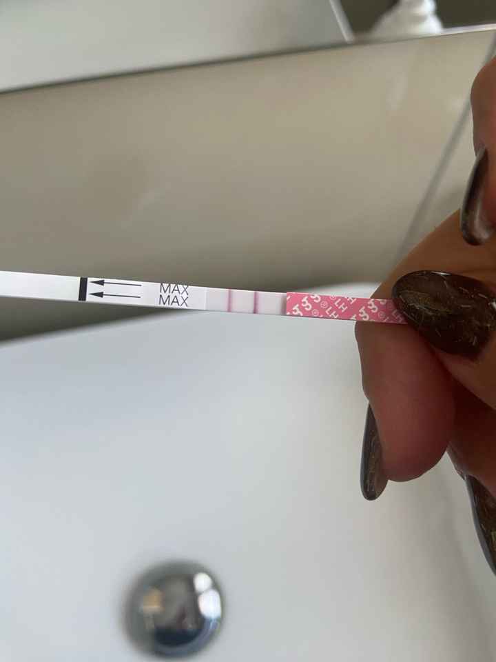 Per chi non le aspetta ottobre, novembre e dicembre 2024🍀🐞 - 1