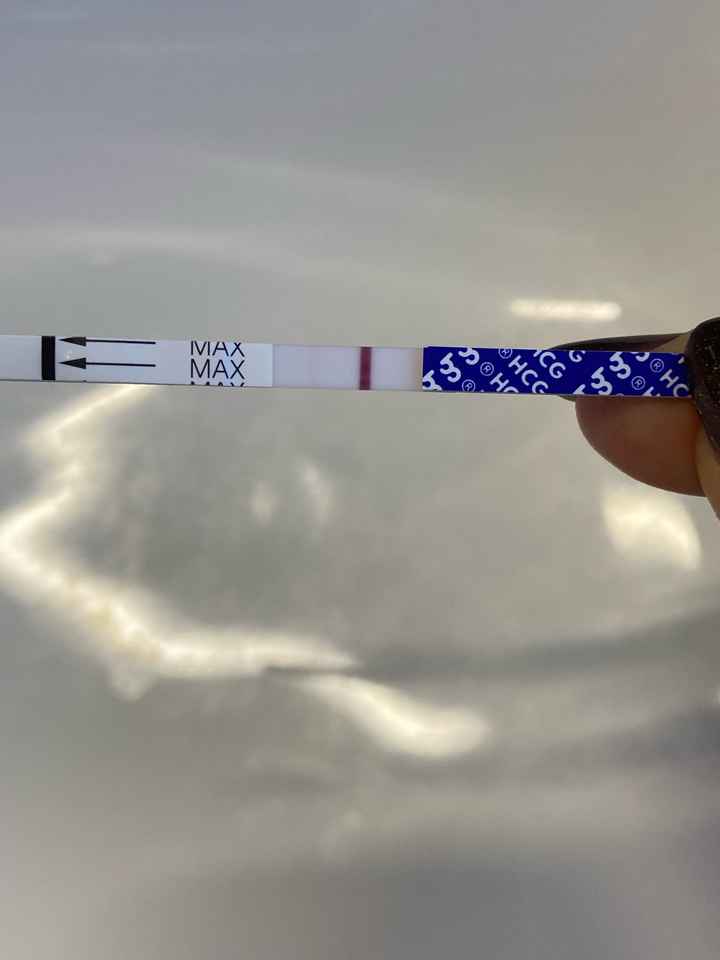 Per chi non le aspetta ottobre, novembre e dicembre 2024🍀🐞 - 2