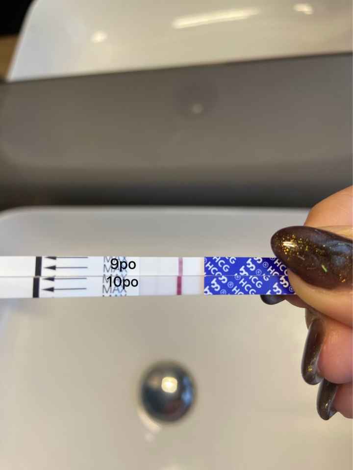 Per chi non le aspetta ottobre, novembre e dicembre 2024🍀🐞 - 3