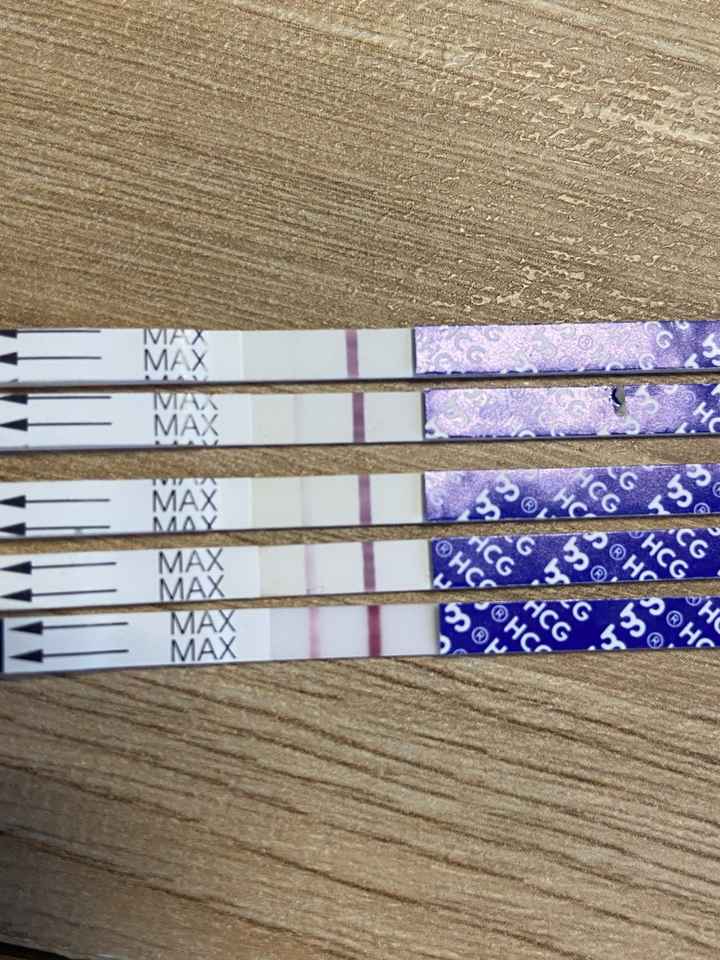 Per chi non le aspetta ottobre, novembre e dicembre 2024🍀🐞 - 1