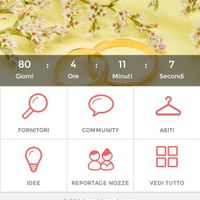 Quanto manca alle vostre nozze? - 1