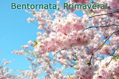 Primavera