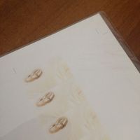 Partecipazioni e bomboniere - 1