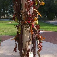 Club della sposa marrone - 2