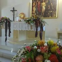 Club della sposa marrone - 3