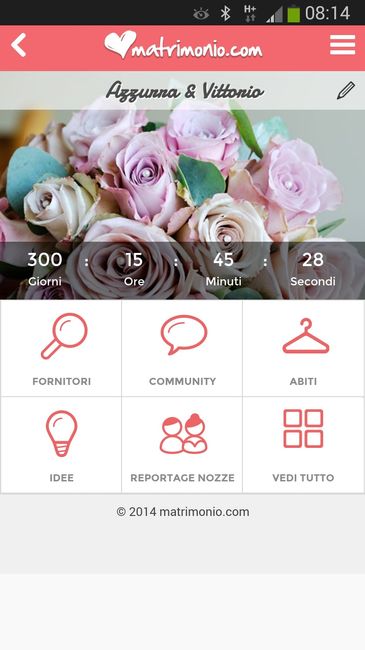 Quanto manca alle vostre nozze? - 1