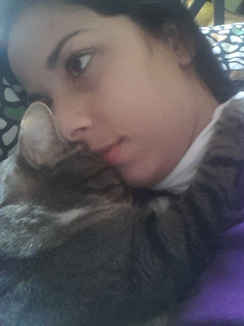 Too cute: i vostri amici animali - 1