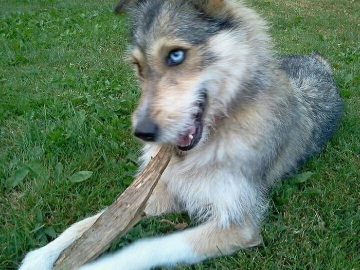 La nuova arrivata! - 1