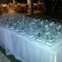 Bomboniere piante grasse