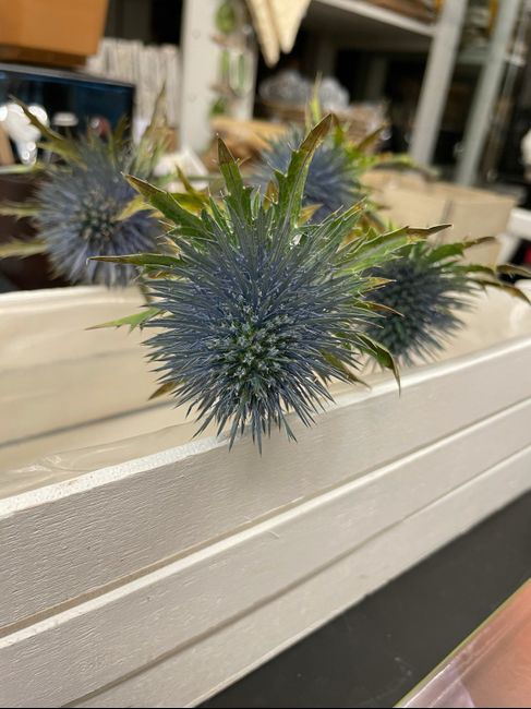 Outfit quasi completo - 5