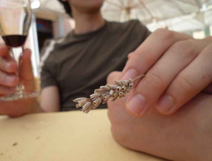 La nostra prima vacanza e i dolci ricordi