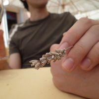 La nostra prima vacanza e i dolci ricordi