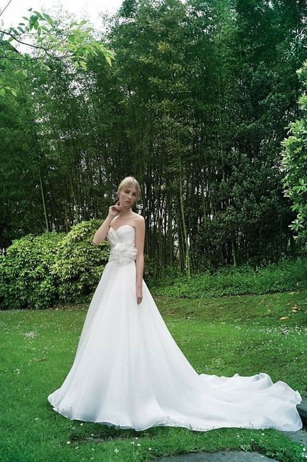 Abito da sposa, il vostro? - 1