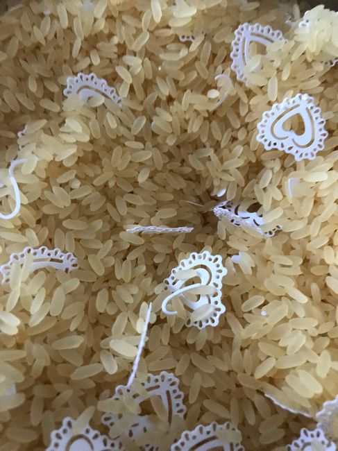 Coni lancia riso: pronti ✅ - 2