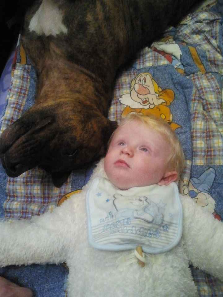 il principe e la mamma pelosa