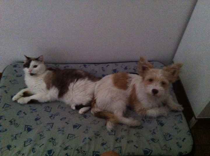 Foto con pelosetti - 1