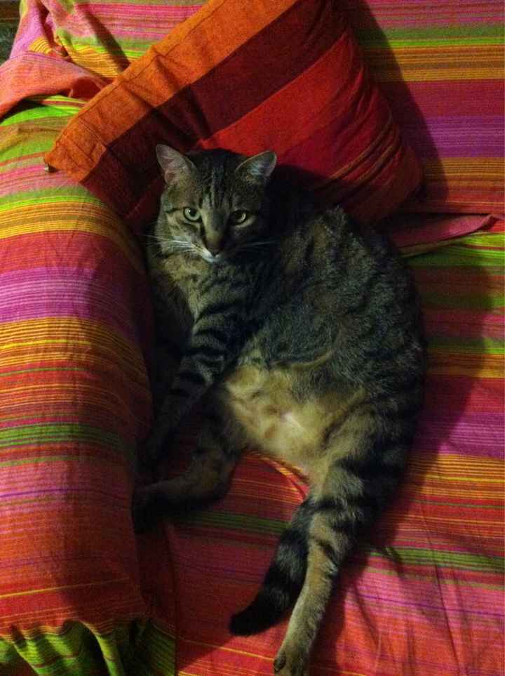 Foto con pelosetti - 3