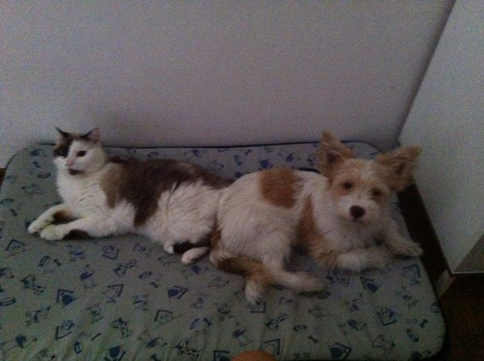 Foto con pelosetti - 1