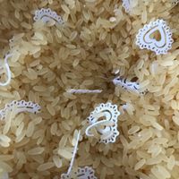 Coni lancia riso: pronti ✅ - 2