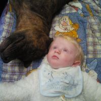 il principe e la mamma pelosa