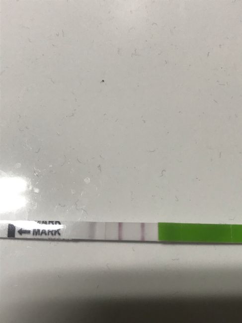 Aspiranti mamme di Novembre 2018!!!🍀 1