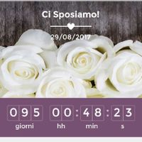 Condividete la data delle vostre nozze - 1