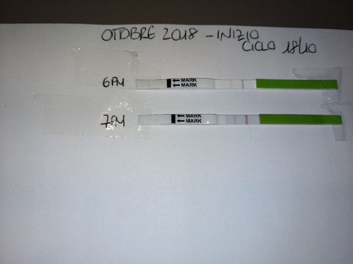 Aspiranti mamme di Novembre 2018!!!🍀 1