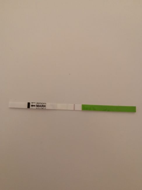 Aspiranti mamme di Novembre 2018!!!🍀 1