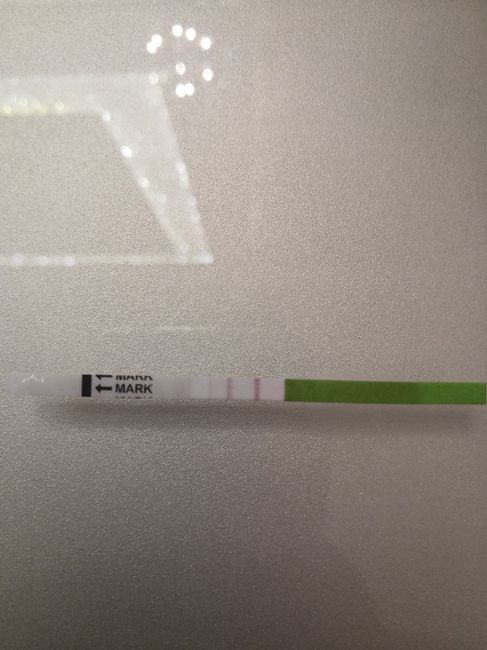 Aspiranti mamme di Novembre 2018!!!🍀 3
