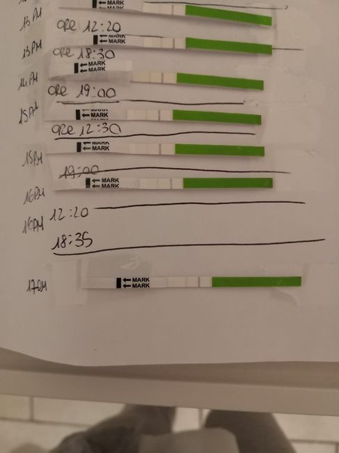 Aspiranti mamme di Novembre 2018!!!🍀 2