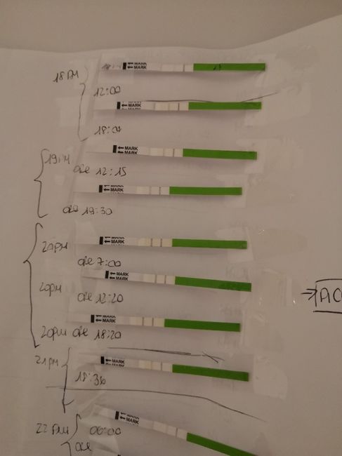 Aspiranti mamme di Novembre 2018!!!🍀 3