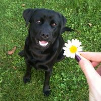 Le foto dei vostri animali - 1