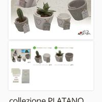 Bomboniere e partecipazioni - 1