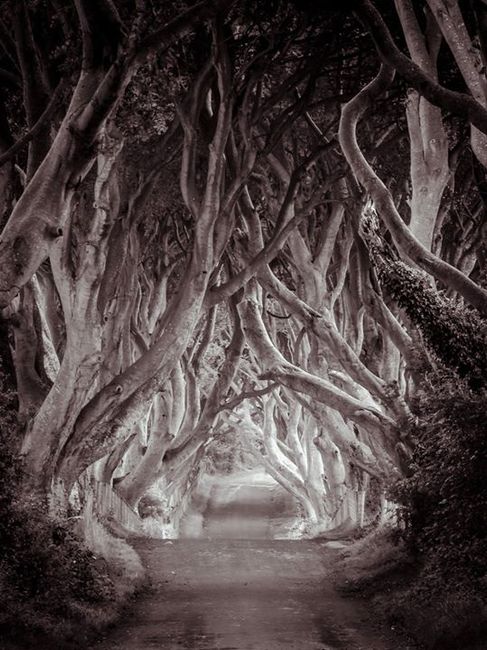 Chi sara' il vostro fotografo? - 2