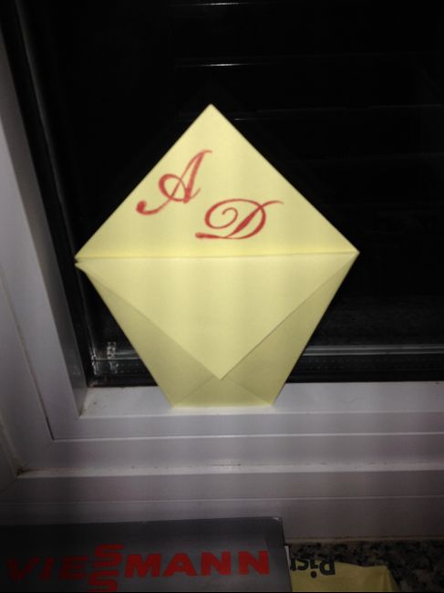 I miei coni porta riso