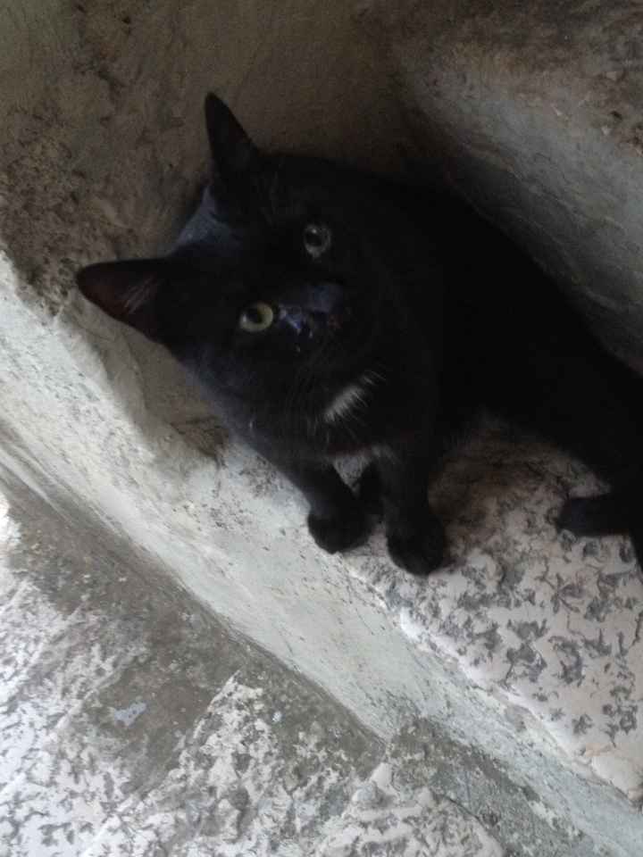 L'amore mio più grande - 1