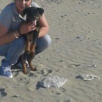 Le foto dei vostri animali - 1