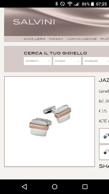 I gemelli dello sposo - 1